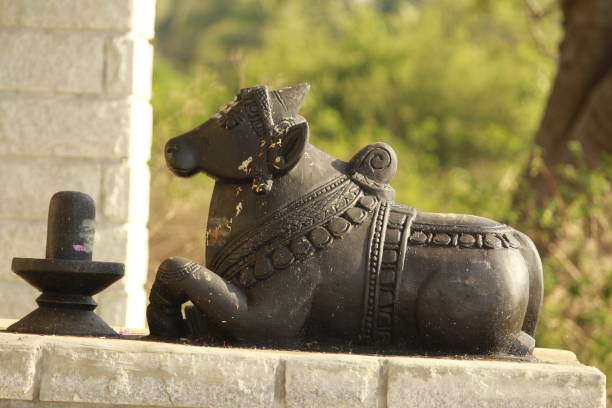 istock A bull statue in front a hindu temple 1223030330