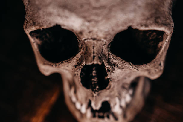 istock Skull of the human on a black background 1223031115