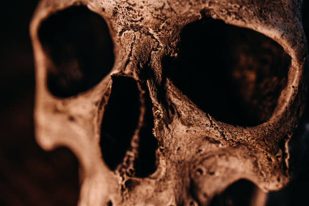 skull