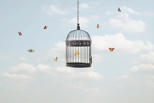 surreal image of a butterfly trapped in a cage and other free flying butterflies