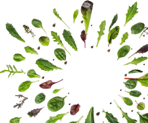 istock flat layout with a copy of the space with lettuce leaves. Vegetable abstract background. on white background 1223034018
