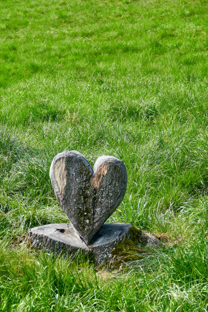 istock Wooden heart carved from the tree stump 1223035238