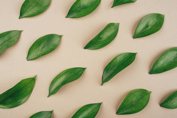 istock Natural background created from fresh green leaves. 1223035282
