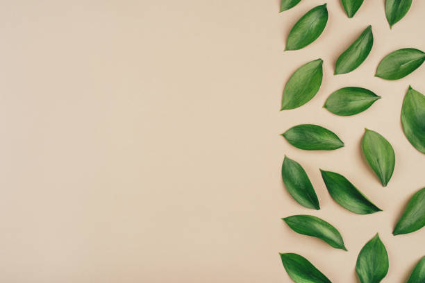 istock Natural background created from fresh green leaves. 1223035283