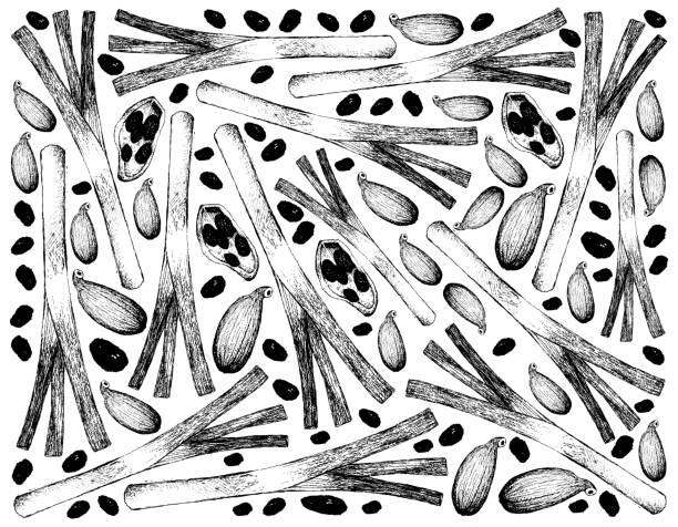 カルダモンポッドで描かれたスカリオンの手描き - chive onion spring onion garlic点のイラスト素材／クリップアート素材／マンガ素材／アイコン素材