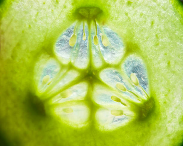 istock Sliced chopped cucumber with water drops on white background. Selective focus, macro 1223038041
