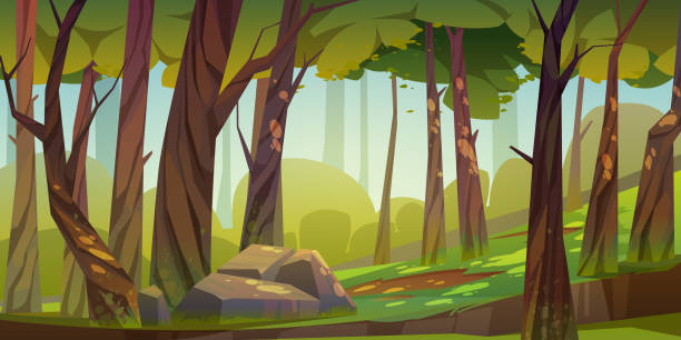 Cartoon forest background, nature park landscape Cartoon forest background, nature landscape with deciduous trees, moss on trunks and rocks, green grass, bushes and sunlight spots on ground. Scenery view, summer or spring wood vector illustration leisure games illustrations stock illustrations