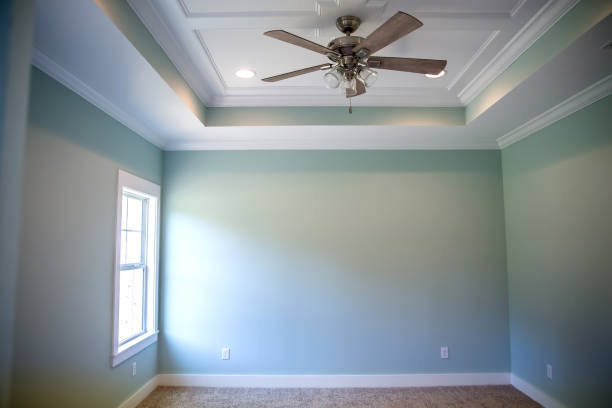 istock Large master bedroom with a tray ceiling, electric fan and a window 1223042058