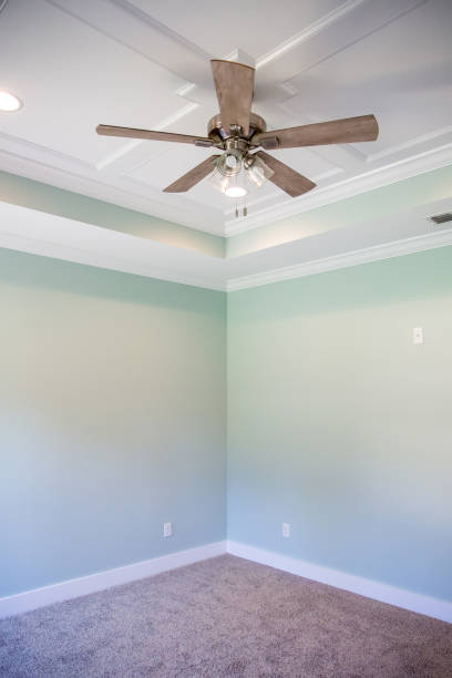 istock Large master bedroom with a tray ceiling, electric fan and a window 1223042070