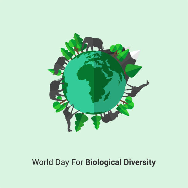 stockillustraties, clipart, cartoons en iconen met werelddag voor biologische diversiteit - dierendag
