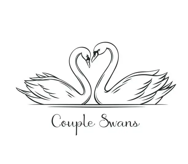 Vector illustration of Couple swans outline.