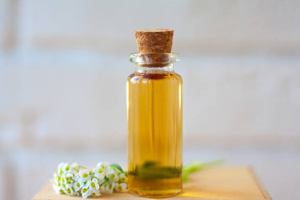 istock alissum essential oil in  beautiful bottle on table 1223044365