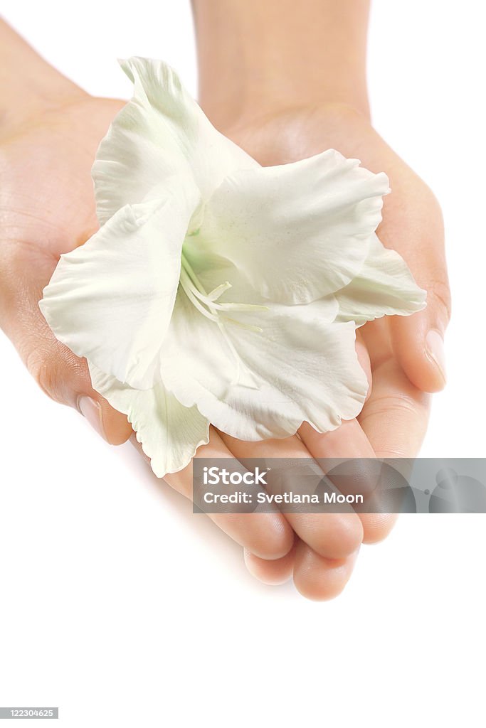 Belle femme mains et Fleur tropicale blanc, gros plan photo - Photo de Femmes libre de droits