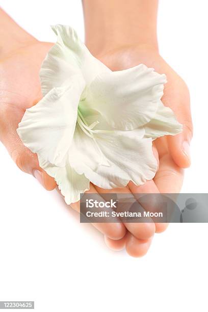 Piękna Kobieta Ręce Z Biały Tropikalnych Kwiatów Zbliżenie Zdjęcie - zdjęcia stockowe i więcej obrazów Kobiety