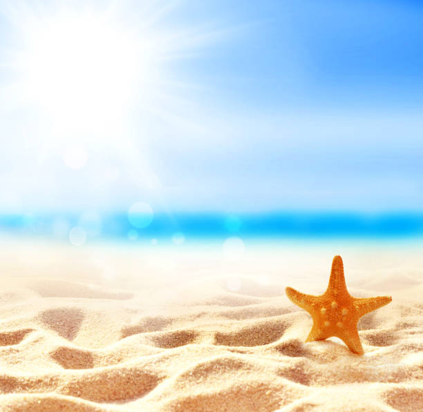 istock Landscape with starfish and shell on tropical beach. Summer concept. 1223047357