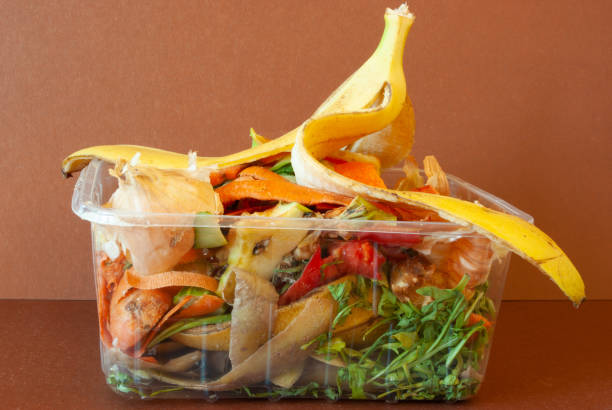 istock Food scraps prepared for composting 1223048777