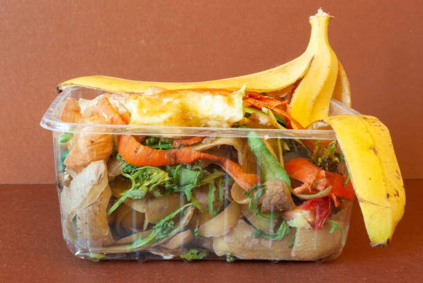 istock Food scraps prepared for composting 1223048779
