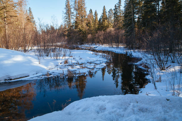 istock Mississippi Headwaters in Itsca National Park USA 1223048807