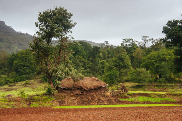 istock Rural Farming Community in India 1223048853