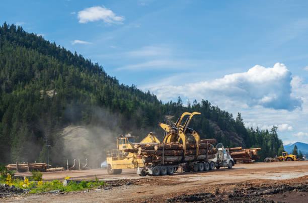 istock Logging Trucks on Vancouver Island 1223048855