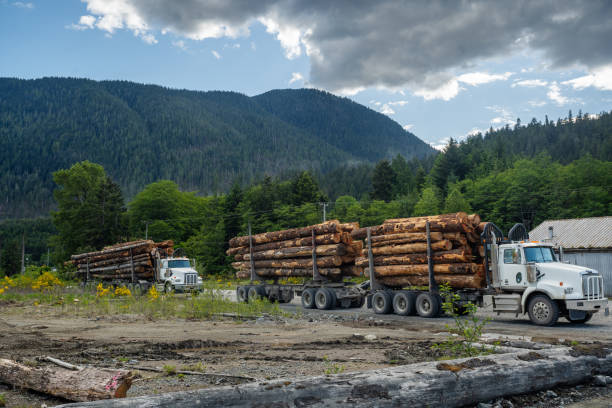 istock Logging Trucks on Vancouver Island 1223049132