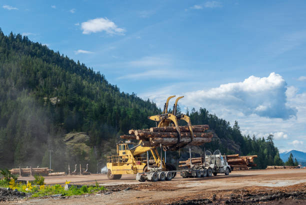 istock Logging Trucks on Vancouver Island 1223049271