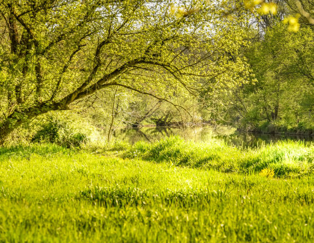 istock Landscapes throughout the state 1223049526