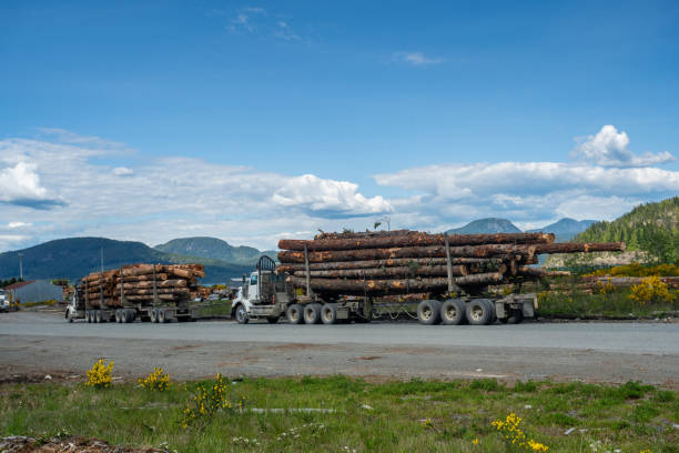 istock Logging Trucks on Vancouver Island 1223049793