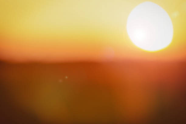 istock Sunset in the field defocused 1223050644