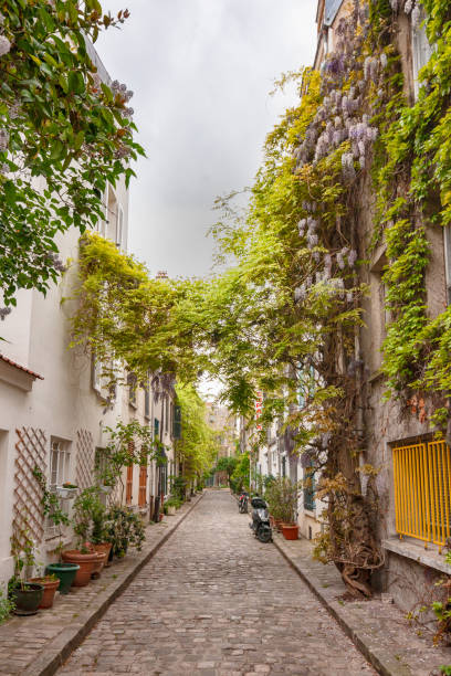 affascinante quartiere dei fiori con condominio a parigi, rue des thermopyles, 14 arrotondamento. francia. - rounding foto e immagini stock