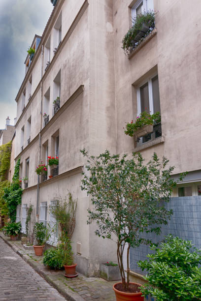 파리의 아파트 건물이있는 매력적인 꽃 지구, thermopyles 거리, 14 반올림. 프랑스. - thermopyles 뉴스 사진 이미지