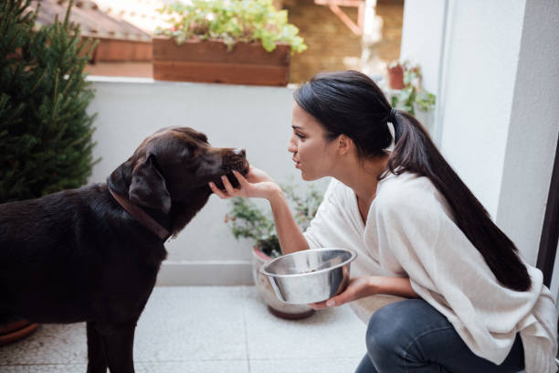 istock Attractive young woman training her pet dog 1223055167