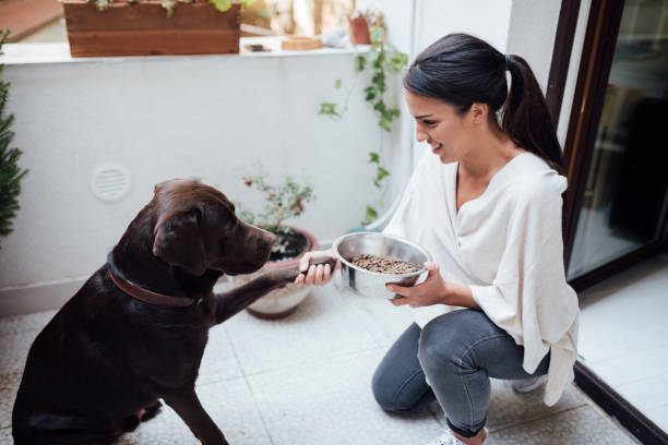 istock Attractive young woman training her pet dog 1223055217