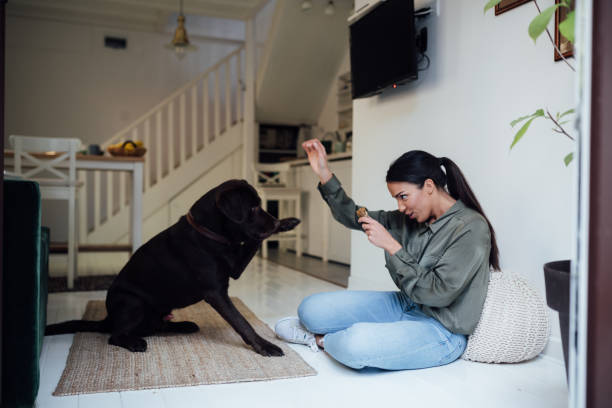 istock Young woman training her pet dog 1223055236