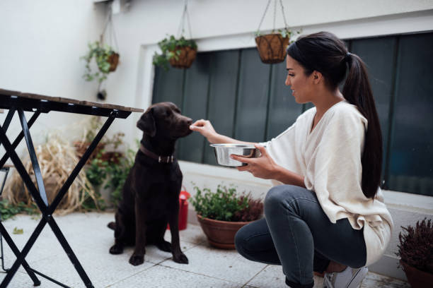 istock Attractive young woman training her pet dog 1223055237