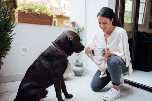 istock Attractive young woman training her pet dog 1223055282