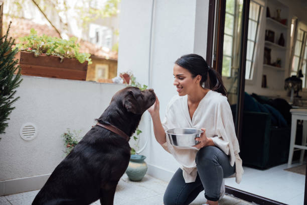 istock Attractive young woman training her pet dog 1223055283