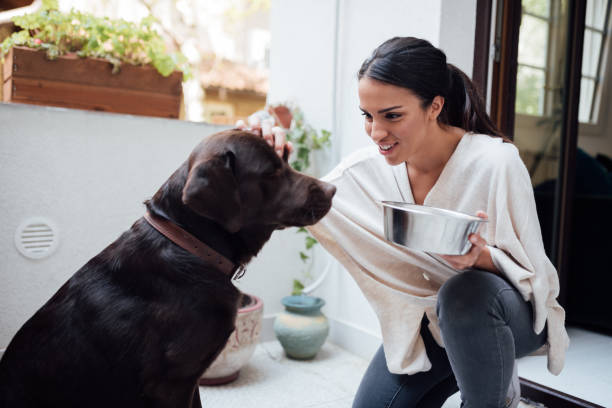 istock Attractive young woman training her pet dog 1223055304