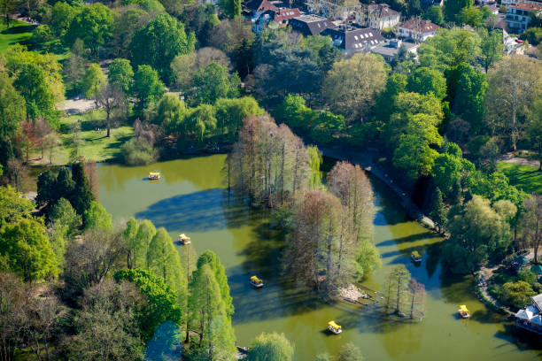 Top view of the lake in Luisenpark. Mannheim. Germany. Top view of the lake in Luisenpark. Mannheim. Germany. mannheim photos stock pictures, royalty-free photos & images