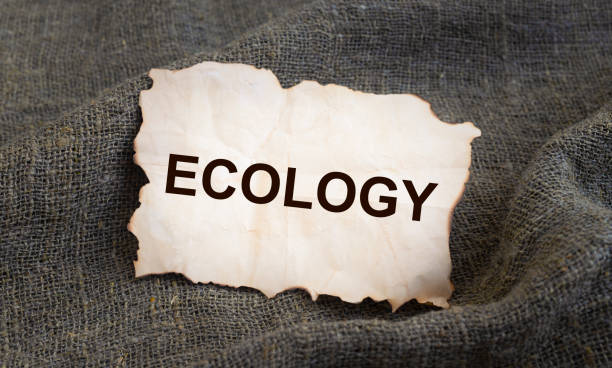 ecology word on an old paper. ecology concept - organic single word environment block imagens e fotografias de stock