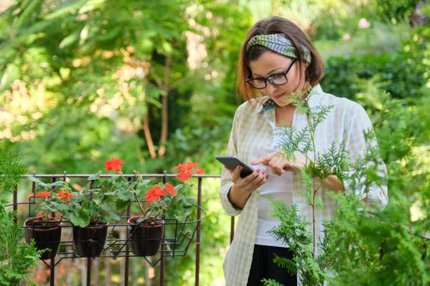 istock Woman reading text sms, online content on smartphone 1223059624