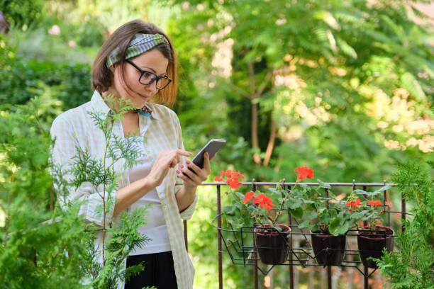 istock Woman reading text sms, online content on smartphone 1223059647