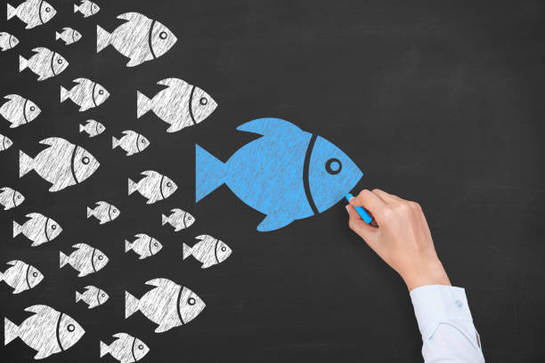 istock Leadership Concepts with Fishes on Chalkboard Background 1223062204