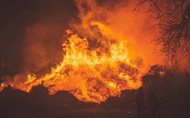 istock Intense flames from a massive forest fire. Flames light up the night 1223066987