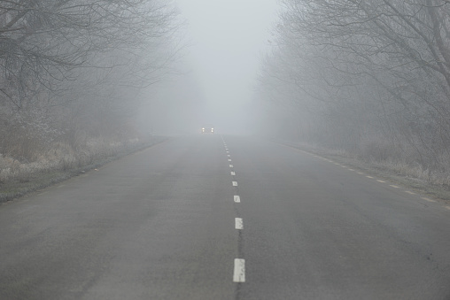 A car emerging from the fog on the road