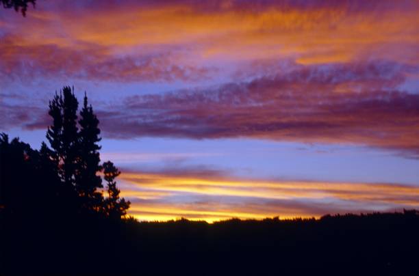 istock Pacific sunset, New Zealand 1223068256