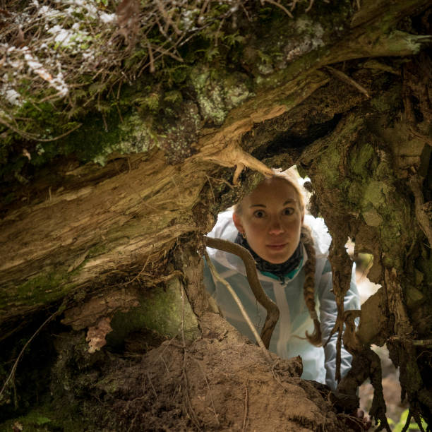 Young woman peers through a hole in a tree