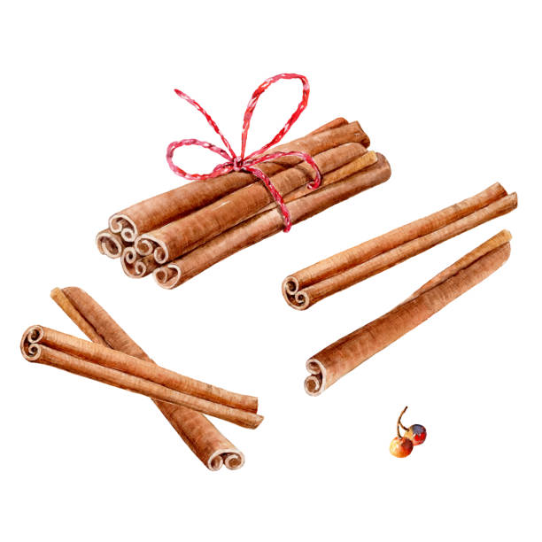 ilustrações de stock, clip art, desenhos animados e ícones de vector set of watercolor cinnamon sticks and tea spices (anise, cloves, cardamom) on white background. decorative element - tempera painting illustrations