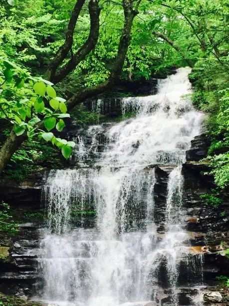 Photo of Waterfall in Rickets Glenn