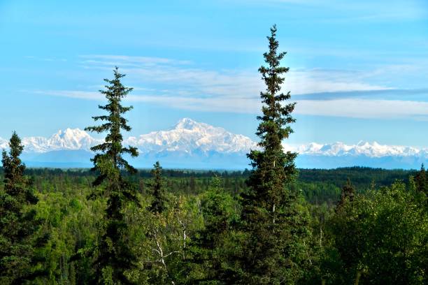 istock The Majestic Mount Denali 1223071419